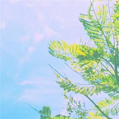 大天使养成记测试版下载